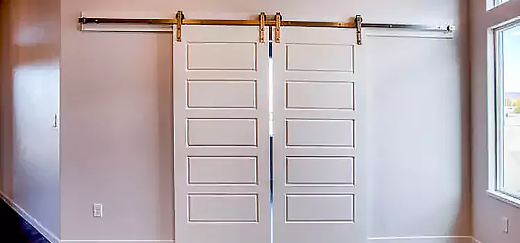 Glass Barn Door with Installation Hardware Kit Dickinson