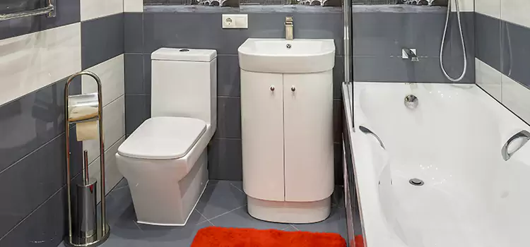 Hansgrohe Shaving Mirror Dickinson