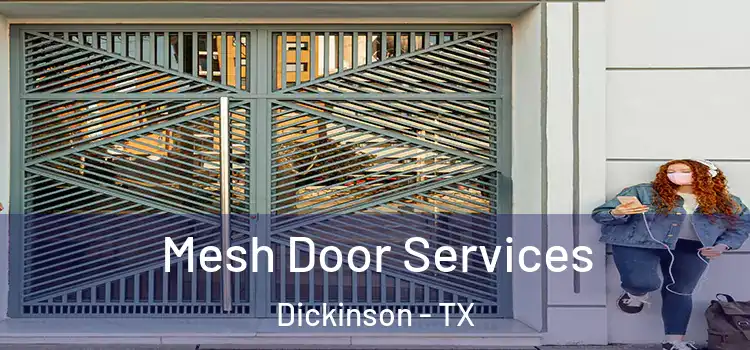 Mesh Door Services Dickinson - TX